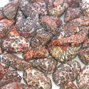 Ancient Wisdom Leopard Skin Jasper (24 Pcs. M Size)