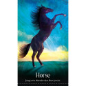 Blue Angel Wild Dreams Animal Oracle Cards
