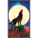Blue Angel Wild Dreams Animal Oracle Cards