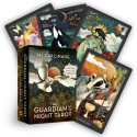 Hay House Guardian Of The Night Tarot Cards