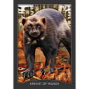 Hay House Guardian Of The Night Tarot Cards
