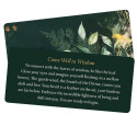 Blue Angel Leaves Of Wisdom Cards