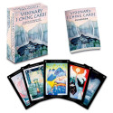 Blue Angel Visionary I Ching Oracle Cards