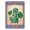 Bear And Company The Triple Goddess Tarot Cards