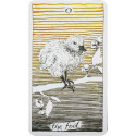 Harper One The Wild Unknown Tarot Cards