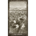 US Games Systems New Era Elements Tarot Cards
