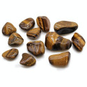 Ancient Wisdom Tiger's Eye (variegated) (12 Pcs. M Size)