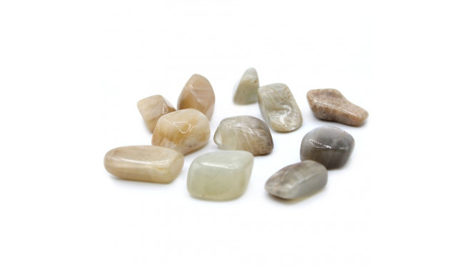 Ancient Wisdom Moonstone Colors (24 Pcs. L Size)