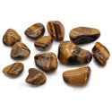 Ancient Wisdom Tiger's Eye (Golden) (12 pcs. Size M)