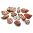 Ancient Wisdom Light Jasper - Brecciated Stone (12 Pieces M Size)