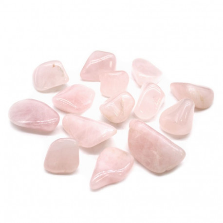 Ancient Wisdom Rose Quartz (24 Pcs. L Size)
