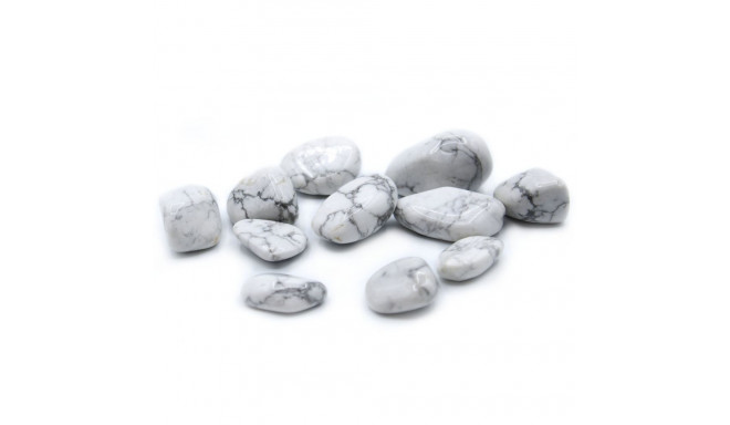 Ancient Wisdom White Howlite (24 Pieces L Size)