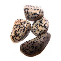 Ancient Wisdom Dalmatian Jasper (24 Pcs. L Size)