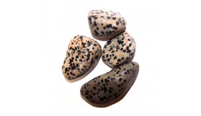 Ancient Wisdom Dalmatian Jasper (24 Pcs. L Size)