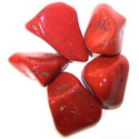 Ancient Wisdom Red Jasper (24 Pcs. L Size)