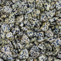 Ancient Wisdom Dalmatian Jasper (24 Pcs. L Size)