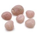 Ancient Wisdom Rose Quartz (6 pcs L size)