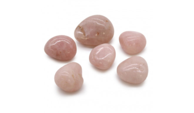 Ancient Wisdom Rose Quartz (6 pcs L size)