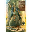 US Games Systems The Druidcraft Tarot Cards
