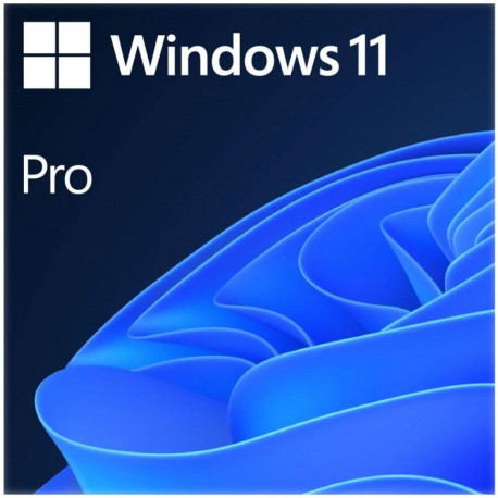 Operatsioonisüsteem Microsoft Windows 11 Pro 64bit OEM