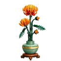 Chrysanthemum