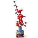 Plum Blossom