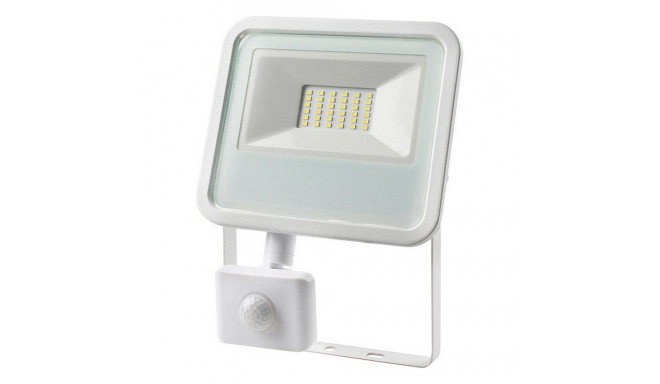 Floodlight/Projector Light EDM 6400 K 30 W