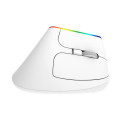 Wireless Vertical Mouse Delux M618C 2.4G 1600DPI RGB (white)