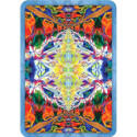 Rockpool Buddha Dhamma Oracle Cards