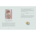 Rockpool Resurrection Oracle Cards
