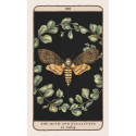 Mcmeel Publishing Woodland Wardens Oracle Kortos Andrews