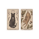Mcmeel Publishing Woodland Wardens Oracle Kortos Andrews