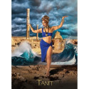 Hay House Black Goddess Within Oracle Cards