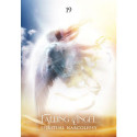 Hay House Shamans Dream Oracle Cards