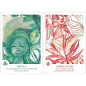 Findhorn Spirit Oracle Cards