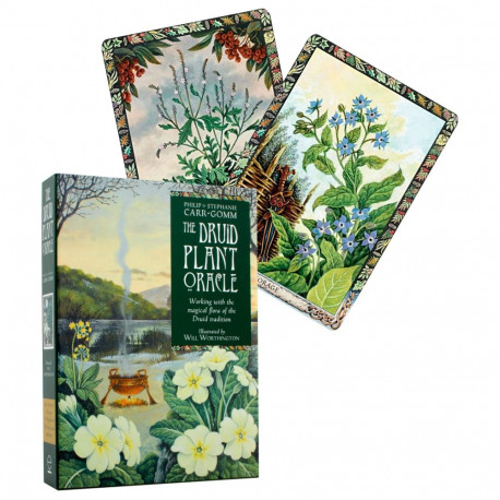 Welbeck Publishing The Druid Plant Oracle Cards - Playing cards - Photopoint