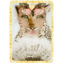 Rock Pool Self Love Oracle Cards