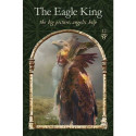 Hay House Wisdom Of The Hidden Realms Oracle Cards