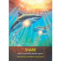 Hay House Archangel Animal Oracle Cards