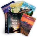 Messages from the Spirits of Nature Oracle cards Hay House