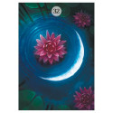 Lo Scarabeo Herbs & Plants Lenormand Oracle Cards