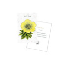 Schiffer Publishing Listening To Flowers Oracle Cards