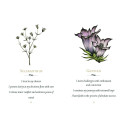 Schiffer Publishing Listening To Flowers Oracle Cards