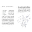 Schiffer Publishing Listening To Flowers Oracle Cards