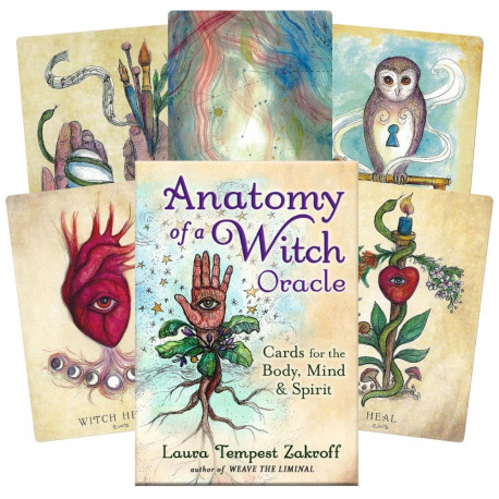 Llewellyn Anatomy Of A Witch Oracle Cards