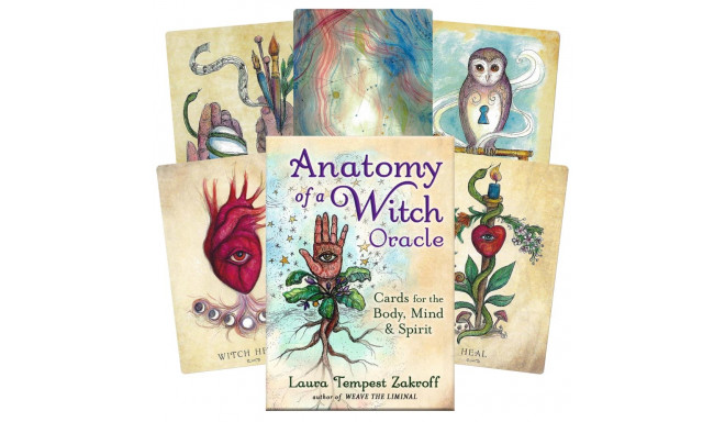 Llewellyn Anatomy Of A Witch Oracle Cards
