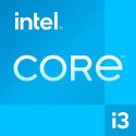 Intel Core i3-12100 processor, 3.3 GHz, 12 MB, OEM (CM8071504651012)