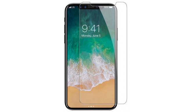Blun kaitseklaas Apple iPhone X/XS