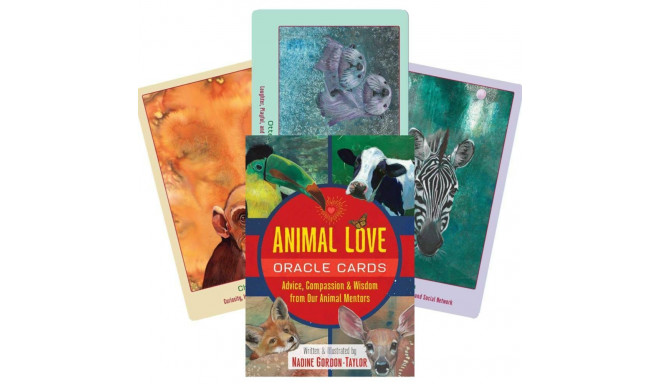 Bear And Company Animal Love Oracle Cards