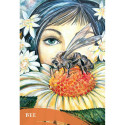 Blue Angel The Zen Of Animals Oracle Cards